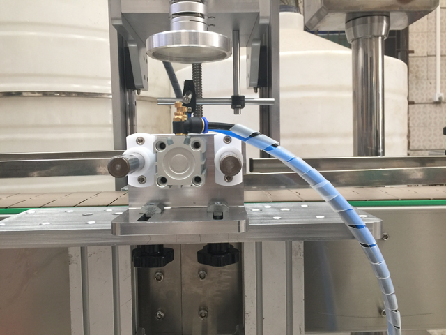 vāciņu galviņa burciņām.jpg